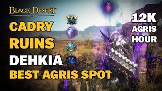 BDO  Best Agris Spot Ever  Cadry Ruins Dehkia  TipsampTricks  Everything You Need to Know  Guide [upl. by Lopez311]