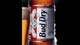 90s amp 00s Classic TV Beer Commercials [upl. by Branca]