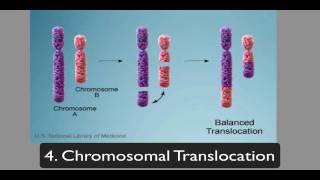 chromosomalmutations [upl. by Marianne]