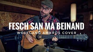 Fesch san ma beinand  Wolfgang Ambros Cover [upl. by Vitalis446]