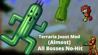 Terraria Modded  Joost Mod Almost All Bosses NoHit [upl. by Goober205]