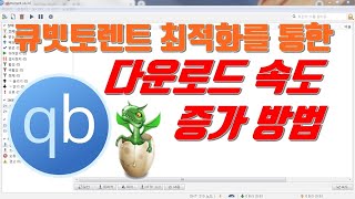 큐빗토렌트 최적화를 통한 다운로드 속도 증가 방법 생활팁 [upl. by Eekram386]