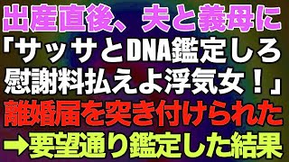 【スカッとする話】出産直後、夫と姑に「DNA鑑定しろ！慰謝料払え！」と離婚届を突き付けられた→言われた通りDNA鑑定した結果ｗｗw [upl. by Aker655]