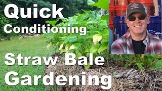 Quick Conditioning for Straw Bale Gardening [upl. by Audy]