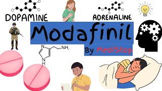 Modafinil Explained  What HAPPENS IF YOU TAKE 100mg of Modafinil [upl. by Hebe]