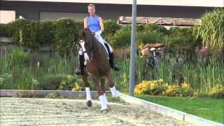 wwwdressagetalentscom  Whats Up [upl. by Lenej433]