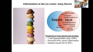 Hemophagocytic lymphohistiocytosis HLH immune regulation and translation human immunology Michael B [upl. by Panthia]