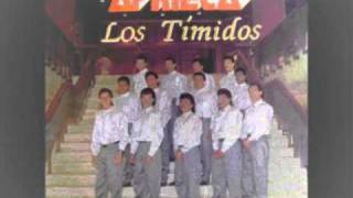 No Juegues Con Mi Vida  Los Timidos Aprieta  1992 [upl. by Cappella]