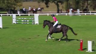 Lauren amp Zippy Zac bitless bridle 1m showjumping at SSJC [upl. by Ramsden]