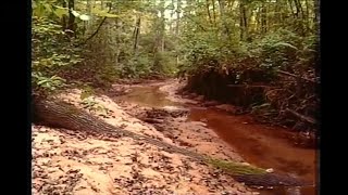 Red Gully Creek has High levels of Fecal Coliform [upl. by Nawat]