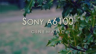 SONY A6100 I Cinematic Video with Kit Lens 1650mm I 4K [upl. by Adelind]