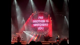 Pigs Pink Floyd played by Aussie Floyd 20240312 Hamburg Barclays Arena [upl. by Eilime926]