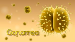 ¡La Gonorrea en 5 minutos Neisseria gonorrhoeae Animación [upl. by Adiari]