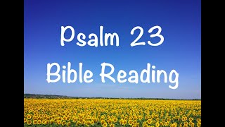 Psalm 23  NIV Version Bible Reading with ScriptureWords [upl. by Naened]