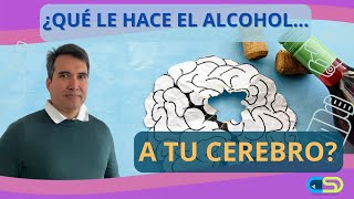 Efectos del Alcohol en el Cerebro [upl. by Onitsuaf]