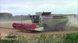 Trumpington Farm Company 2021 Wheat Harvest in HD 2021 [upl. by Nor]