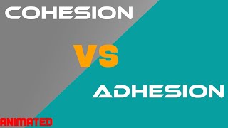 Cohesion vs Adhesion [upl. by Essilevi]