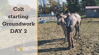 Using natural horsemanship techniques to start a horse on the ground  Day 2 Complete session [upl. by Nabatse]