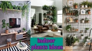 indoor plants ideas  plantation in house  Home decor  green house ideas  home plantation [upl. by Gleeson]