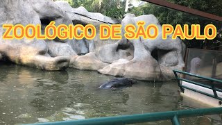 ZOOLÓGICO DE SÃO PAULO [upl. by Marybelle971]