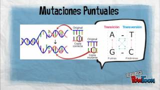 proto oncogenes y oncogenes [upl. by Seraphine858]