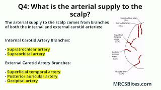 MRCS Part B Head amp Neck Anatomy amp Pathology OSCE Station 1 [upl. by Adiaz]