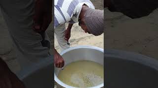 Extracting salt from sea wateryoutubeshorts [upl. by Nawor605]