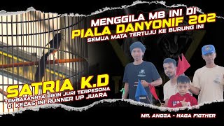 MEMBARA DI PIALA DANYONIF 202 🔹SATRIA KD RUNNER UP JUARA 📌MR ANGGA  NAGA FIGHTER [upl. by Ainehta]