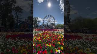 Floriade in Canberra ACT Australia canberra australia [upl. by Jenne]