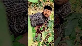 Pahale ek lota pani la diya jaye comedyvideo standupcomady funny [upl. by Nauqel37]