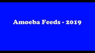 Amoeba feeds 2019 Version [upl. by Eivad444]