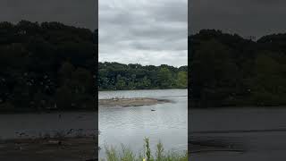 Cycling at Hempstead Lake State Park New York [upl. by Hashim]