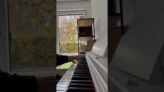 OMORI Final Duet  Piano Cover piano omorishorts [upl. by Jamie]