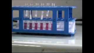 Production of lateral flow test in a basic equipped lab [upl. by Nilrac]