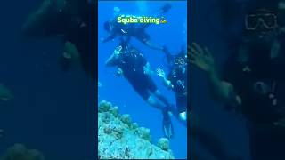 Squba diving 🐍youtubeshorts travel traveldestinations trendingshorts trendingreels andman [upl. by Aselehc]