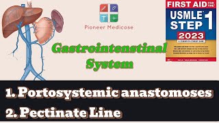 Portosystemic anastomoses pectinate line anatomy of GIT from first aidpart 4USMLEUrduHindi [upl. by Adi]