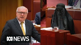 George Brandis slams Pauline Hanson for wearing a burka to Senate Question Time 2017  ABC News [upl. by Florance]