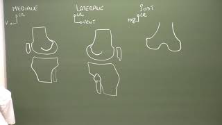 MI 2  Anatomie du genou Knee anatomy [upl. by Naxor341]