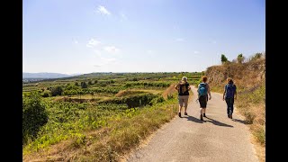 Weitwanderweg KremstalDonau [upl. by Trepur]