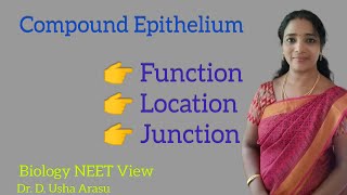 Compound Epithelium  Class 11  NEET  Biology NEET View  NEET Aspirants [upl. by Ailimat246]