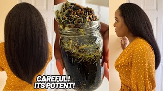 HAIR OILING MISTAKES THAT WILL RUIN YOUR HAIR  How to properly oil hair for hair growth [upl. by Gonsalve]