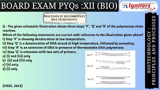 The given schematic illustration shows three steps ‘P’ ‘Q’ and ‘R’ of the polymerase chain react [upl. by Marrissa]