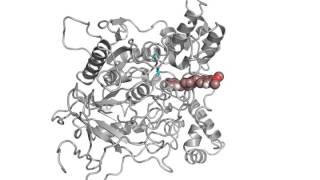 Donepezil binding to AChE [upl. by Durrett]