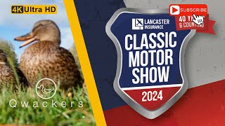 Classic Motor Show 2024 classiccars car motorcar carshow cars [upl. by Mcgean]