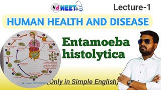 Entamoeba histolytica life cycle NaturalBiology [upl. by Nadabus]