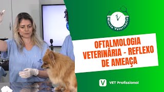 Oftalmologia Veterinária  Reflexo de Ameaça [upl. by Mae630]