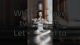 Part 5 Neuroscience on Mindfulness and Meditation Why You Have “Two Minds” [upl. by Knowle]