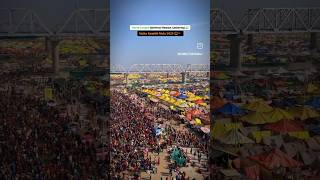 Mahakumbh prayagraj shobhayatra 🙏🙏🎇mahakumbh2025 shorts shortsfeed shortsvideo [upl. by Yarod465]