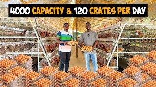 Inside a 4000 Capacity Battery Cage Poultry Farm producing 120 crates of Eggsday in Ghana 🇬🇭 [upl. by Elimaj]