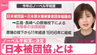 【ノーベル平和賞】「日本被団協」とは 核兵器廃絶など目的に活動 [upl. by Tatianas663]